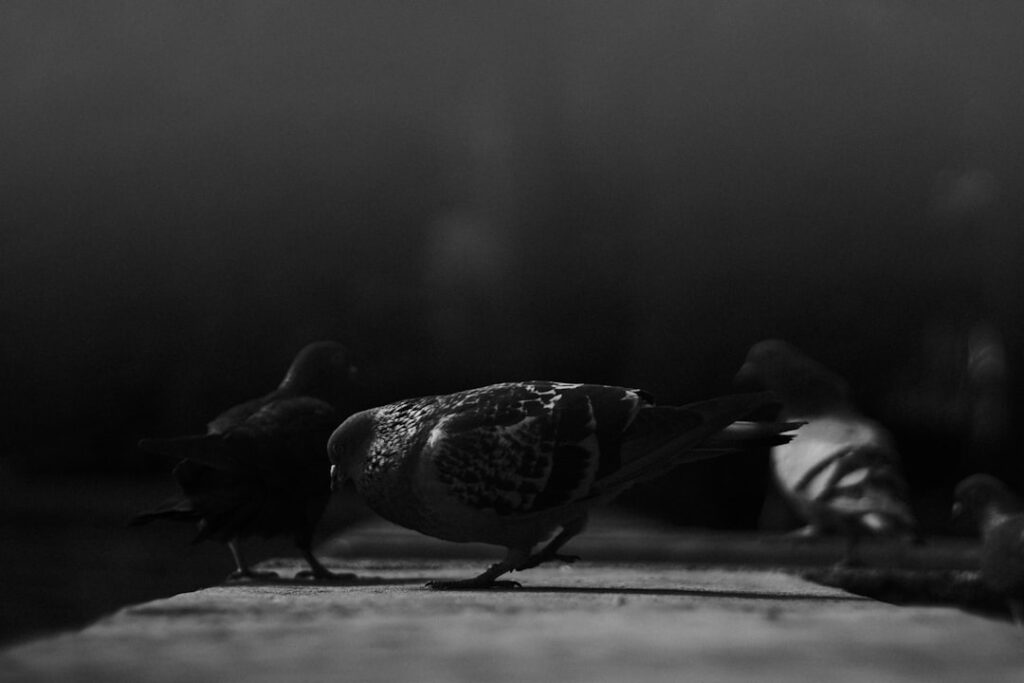  The Silence Filmszene mit Vesps Kreaturen